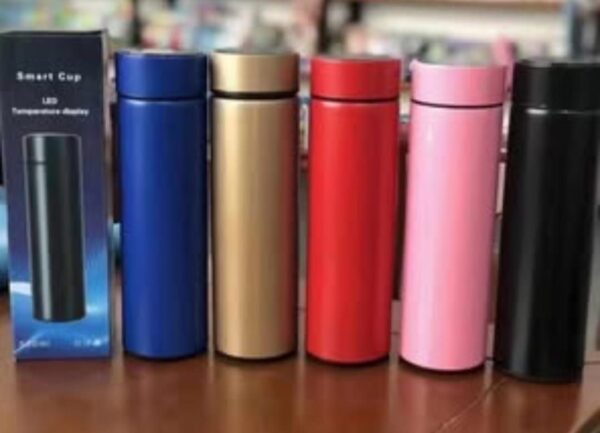 LED Smart Temperature Display Bottles (Assorted Colors)